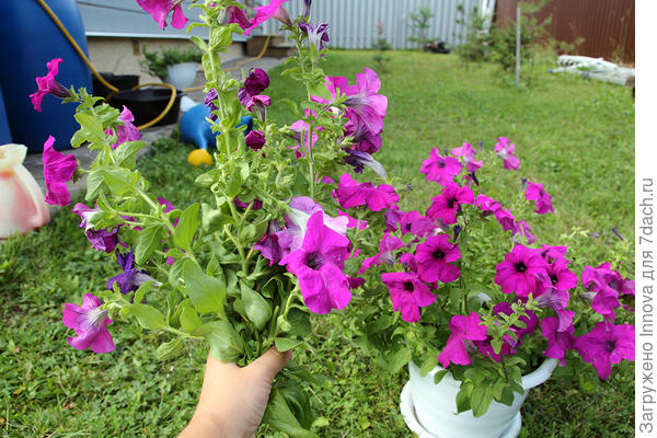 То, что сломалось