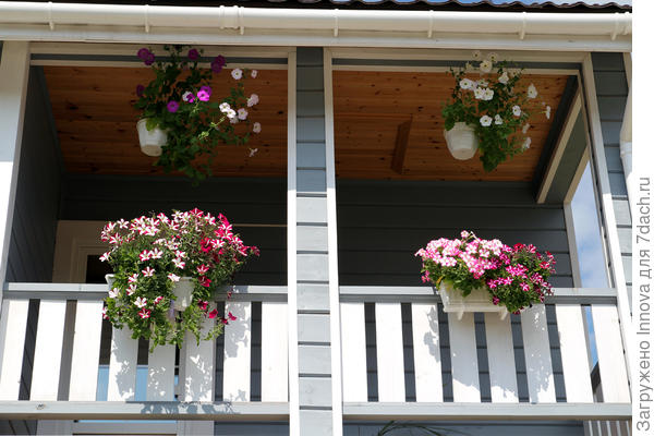 На балконе: слева Летний звездопад, справа - Империал звездная.