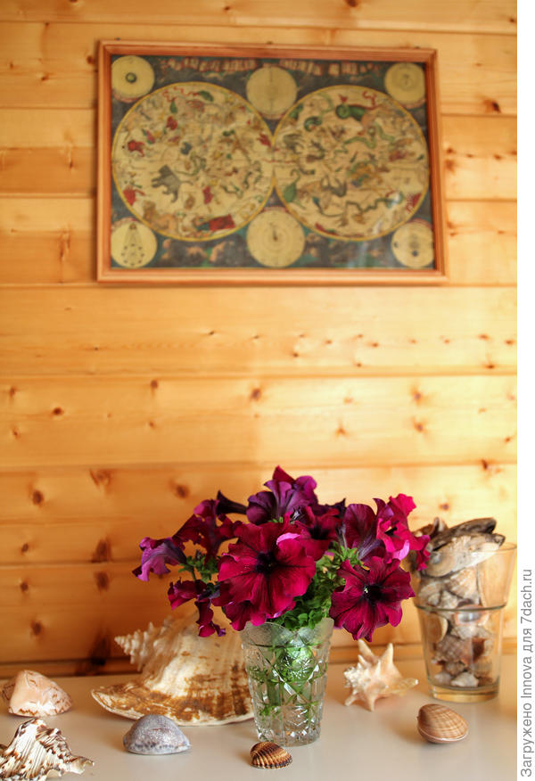 Комплиментуния Бургунди - звезда интерьера