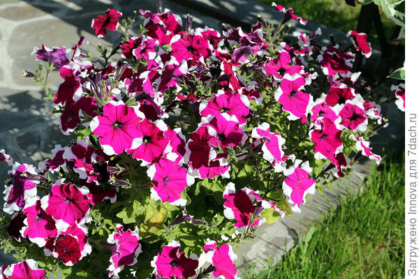 Конец августа