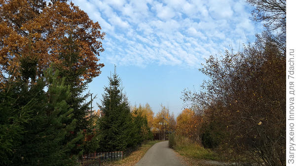Осень