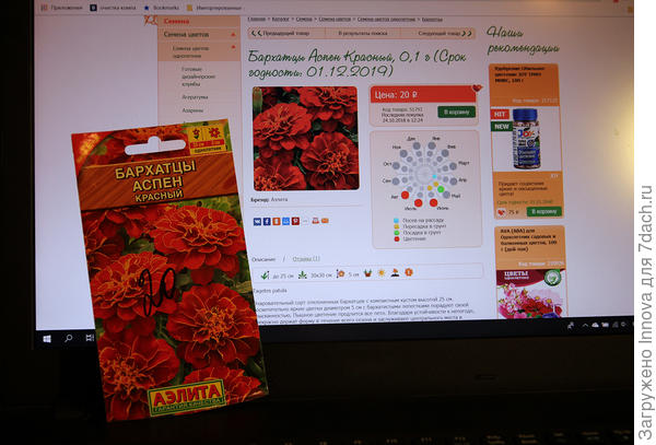Бархатцы Аспен на сайте Seedspost
