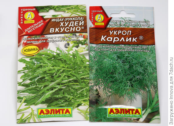 Зелень