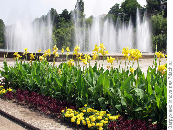 Ээээ где-то около цирка что ли