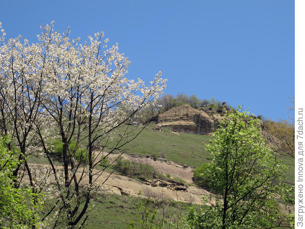 Тоже верхний парк