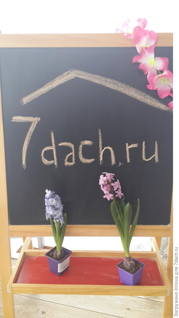 Весенне-нежное