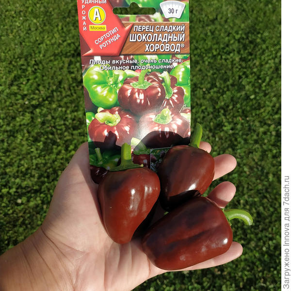 Три шоколадки