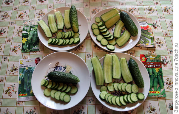 К дегустации готовы