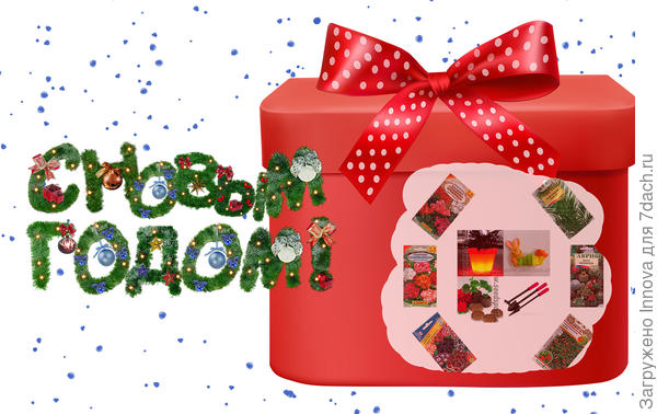 Набор "Клумба на подоконнике"