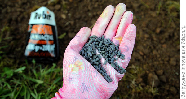 Нужно рассыпать гранулы по поверхности почвы и заделать их в грунт