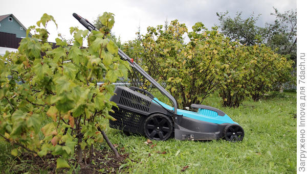 Пылесосим территорию