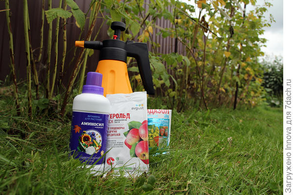 Баковая смесь для обработки малины