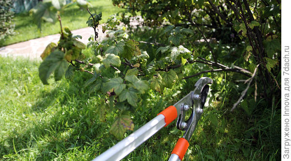 Убираем мешающие ветки