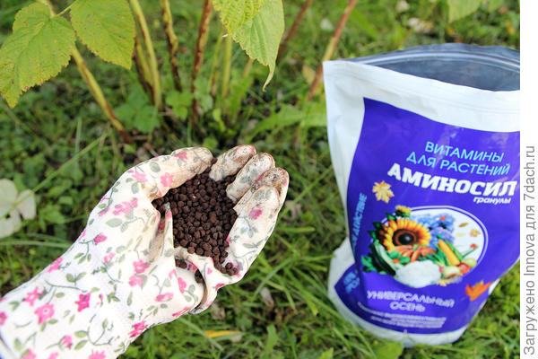 Подкормка малины витаминами для растений Аминосил Универсальный Осень