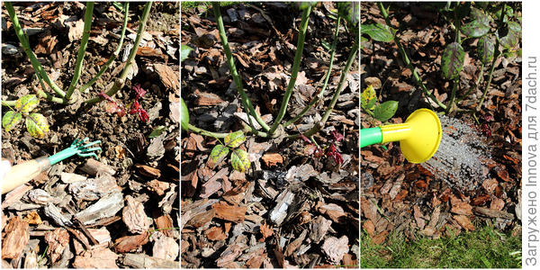 Действия после внесения гранул