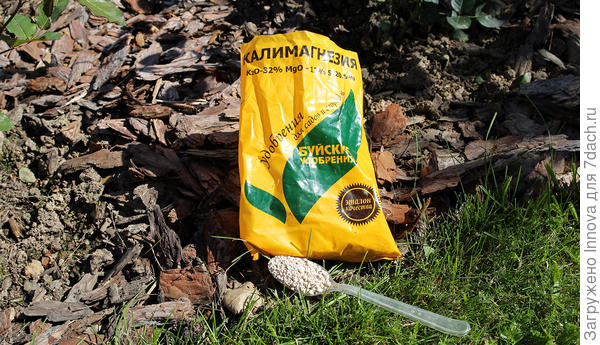 Для подкормок роз в сентябре используют калимагнезию