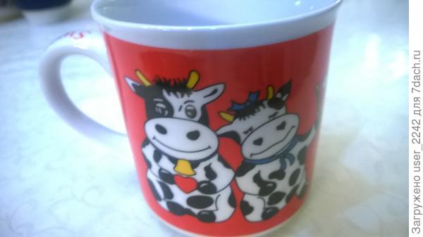 Тоже дочкина, кто-то когда-то ей подарил.