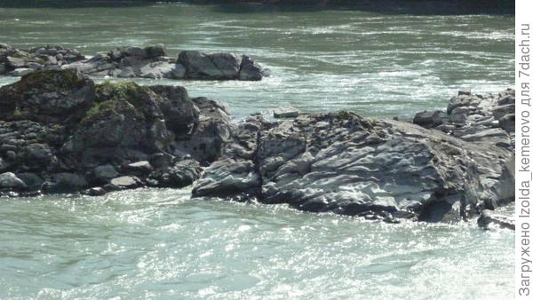 Катунь просто невероятная!