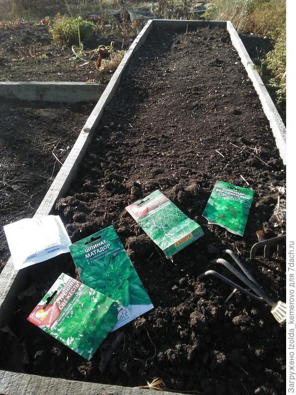 сеем в ноябре!