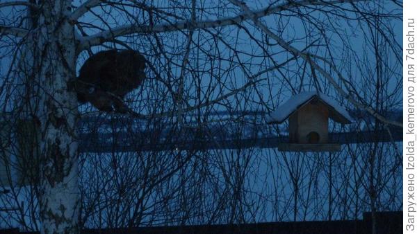 я тучка,, разве не понятно?