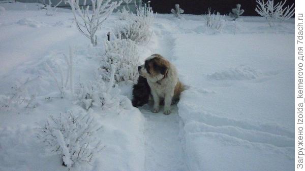 а это в детстве, по 7 месяцев им