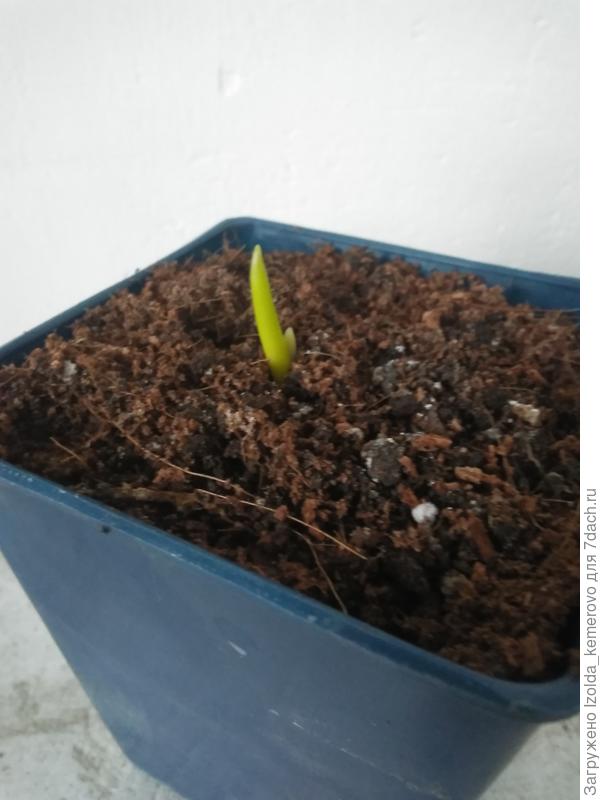 а это сегодня