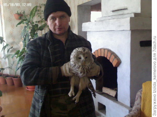 выпускать понесли на волю