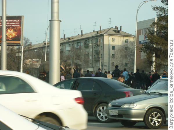 блин,,, видно плохо... за столбами