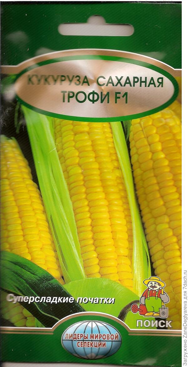 Пачка семян кукурузы