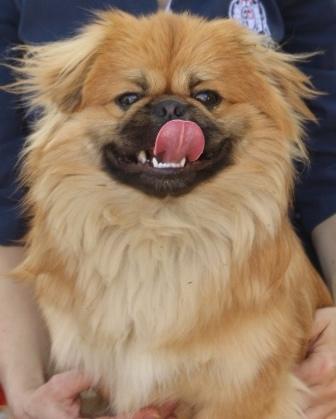 мой самый лучший друг