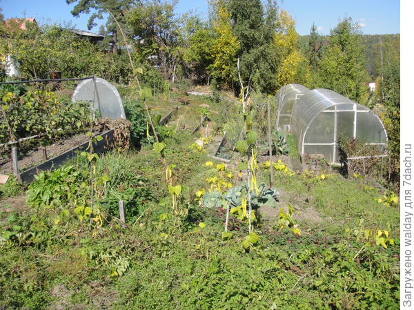 косогор - тренажёр хорошо помогает от живота