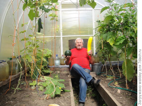 осень в разгаре. Sag mir, wo die blumen sind,...