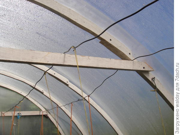 Дуги выпилил лобзиком (2 вечера работы) из фанеры 21мм (стандартн. лист 1510х1510, 1 шт.)   Одна дуга - 3 сектора шириной в основании 151см, ширина полоски сектора = 4см.