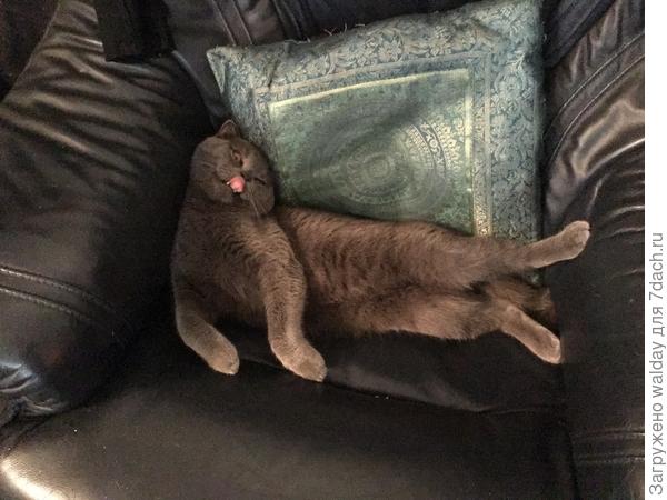 Не подумайте, што я Кузей измерял уровень излучения В МИКРОВОЛНОВКЕ...