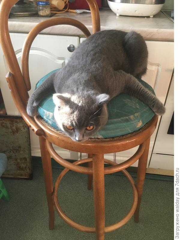 ЦО то бендзе..?