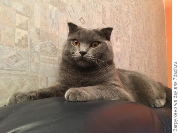 Больше с дедом - ни капли!