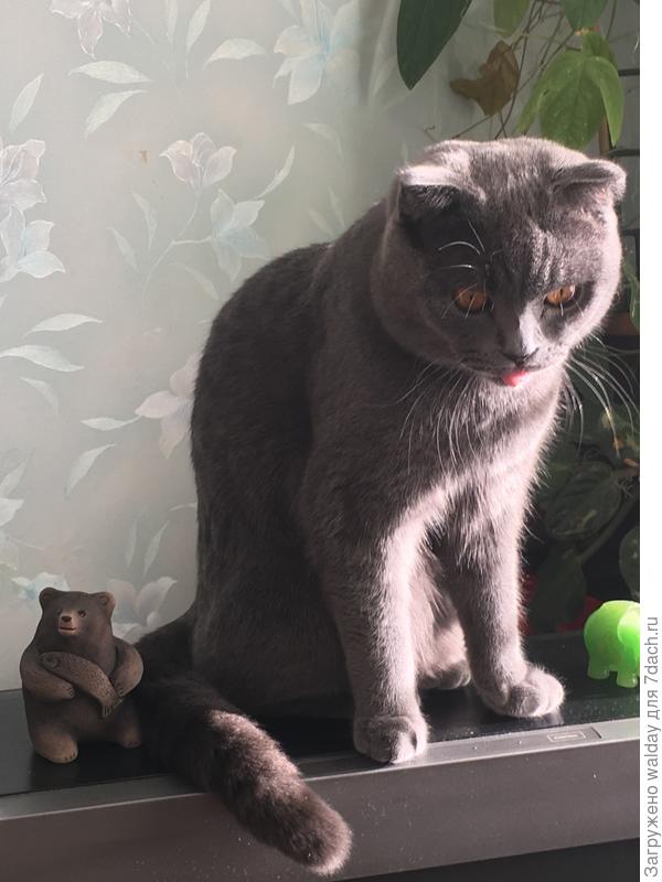 Кузя считает, что это он один &quot;идёт в ногу&quot;, а все остальные -как попало...