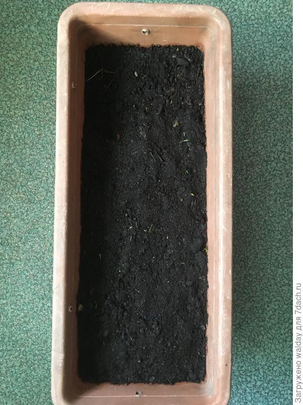 Барышни! Вы не одиноки... Это &quot;веста&quot; от 13.03 - дня три пыжатся штуки 3-4!!!