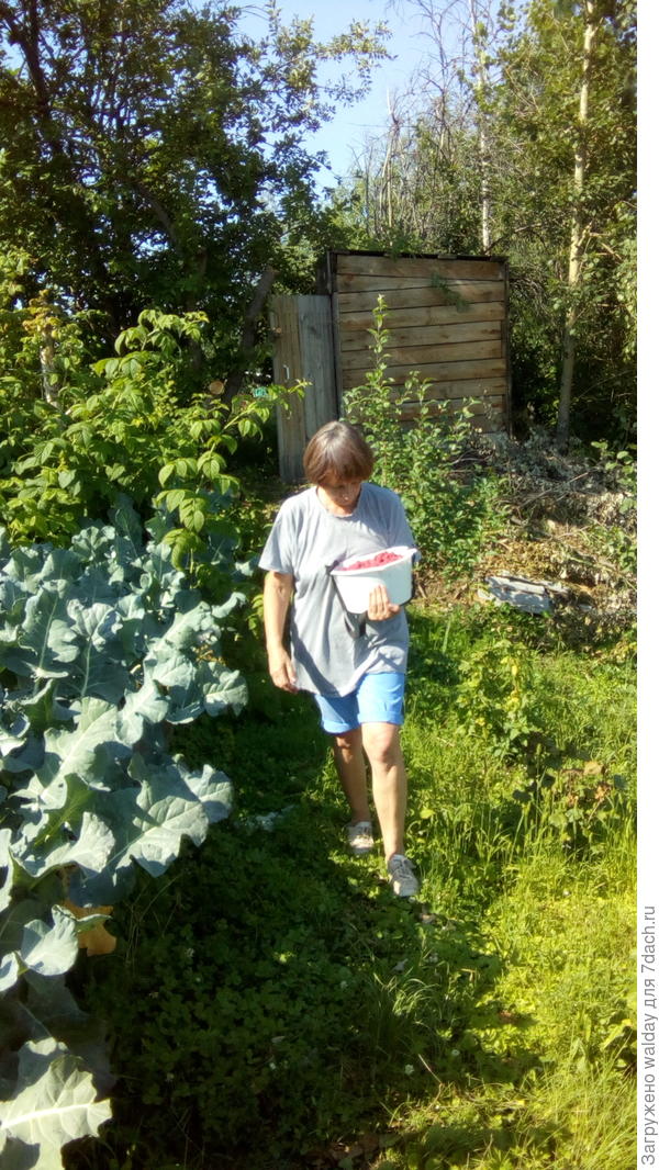 Да и кума, вот, грустная - ходила проверить, можа ж уже выросли, грибы -то...