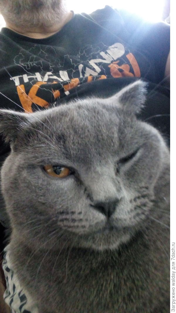 Кузя тоже ни хрена не понял...