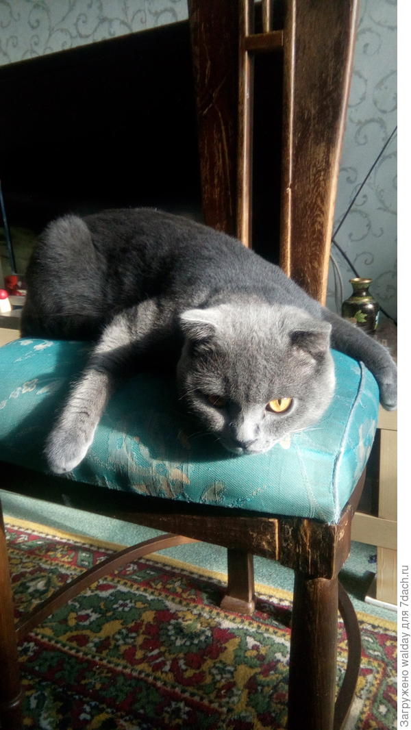 А это мой Кузя!