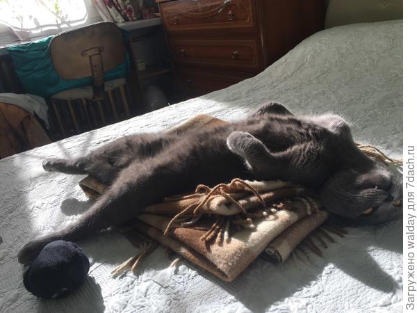 Да уж, отпраздновали!..