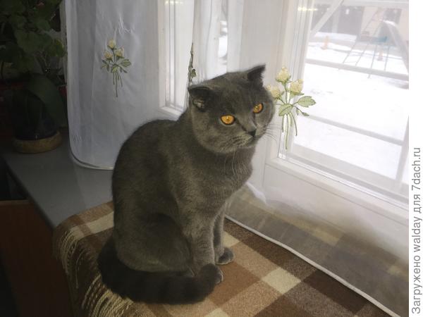 Скорей бы лето, а то зимой грустно...