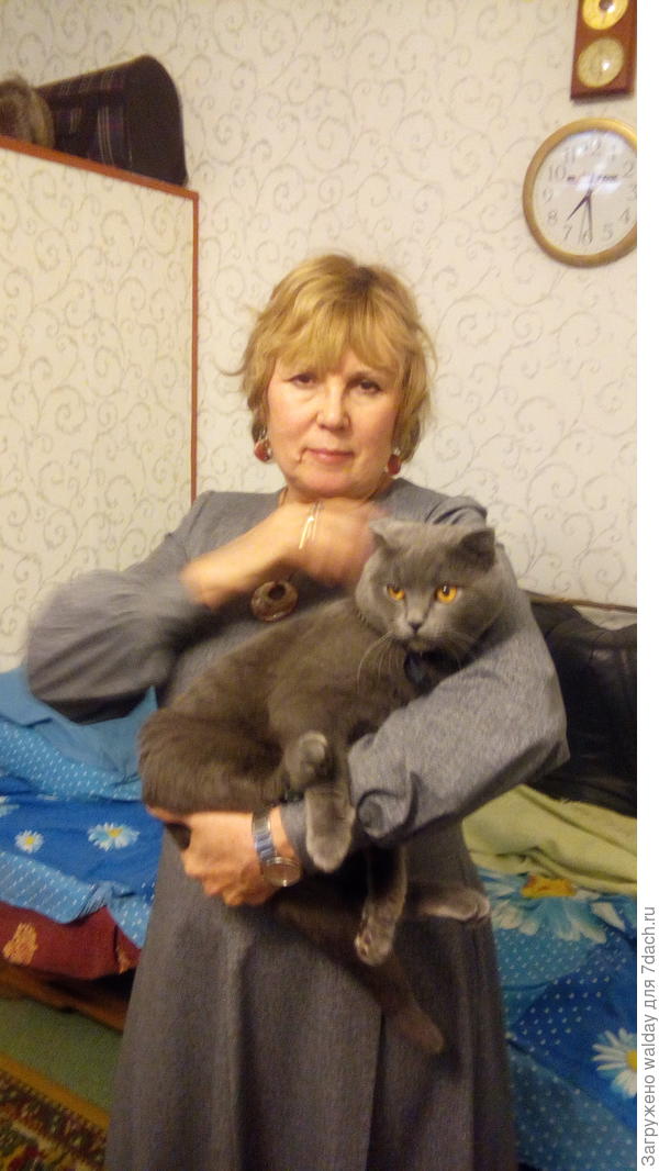 Кузя радостно забрался "на ручки" и тарахтик как трактор (бабушки долго не было дома)