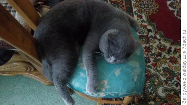 а потом спать! До весны!