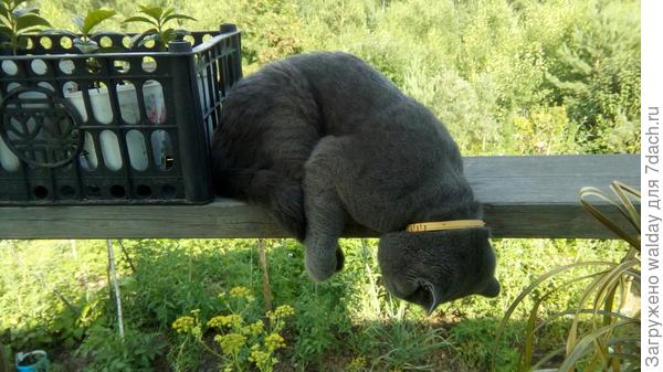 Летом-то хоть так легче делалось...