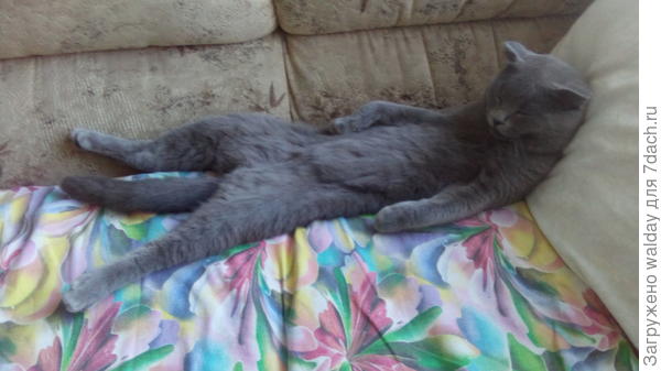 Хорошо отметили.