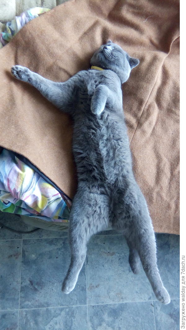 Всё! Я больше с дедом не "пивец"!