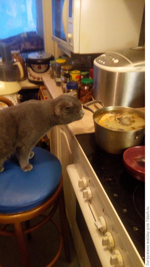 пока супец варится