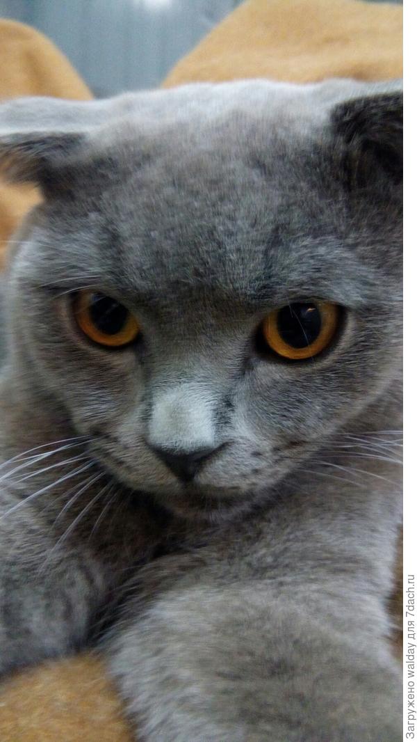 задумалси об жисти...